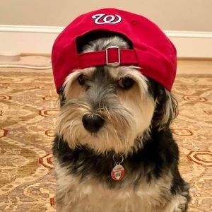 Meet your Posher, Sanda